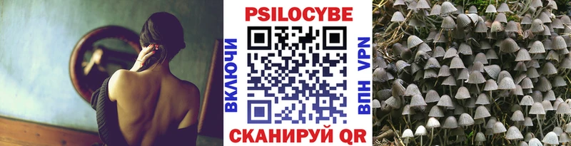 наркошоп  Муром  Галлюциногенные грибы Psilocybe 